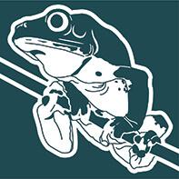 HELP US<br>TO IMPROVE