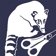 SINCHI<br>FOR<br>KIDS